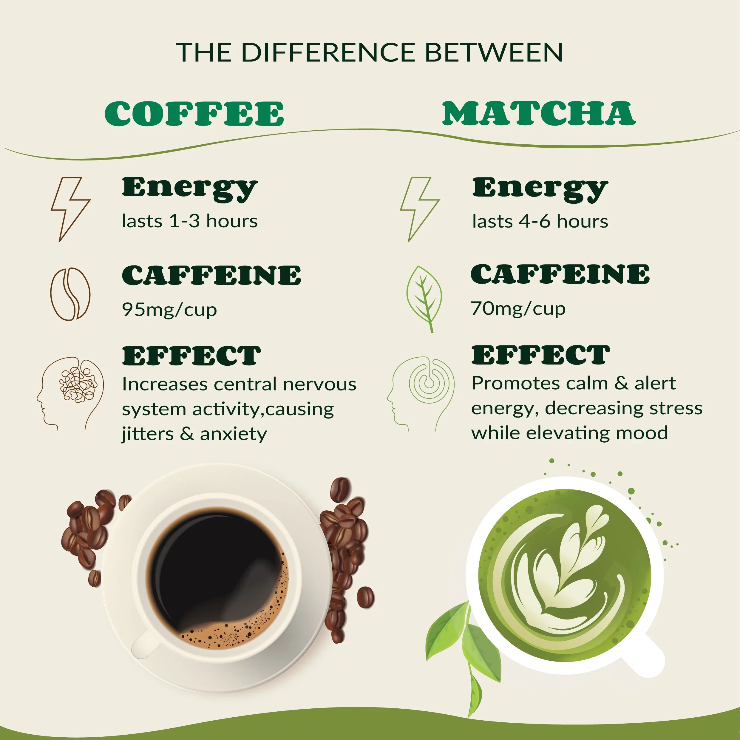 What is the Difference between Green Tea Caffeine And Coffee Caffeine: Key Facts Revealed