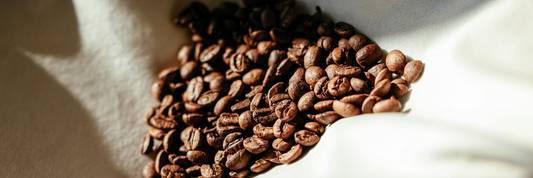Can Eco-packaging Increase Café Revenue?