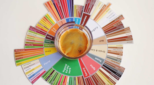 How to use Coffee Flavor Wheel?