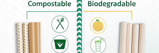 Compostable vs Biodegradable Straws: Which is Right for Your Business?