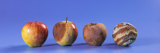 Food Spoilage in Takeout: How to Keep Delivered Meals Fresh, Safe, and Sustainable