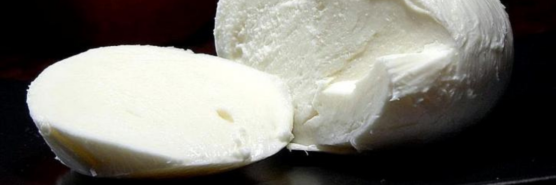 Homemade Mozzarella
