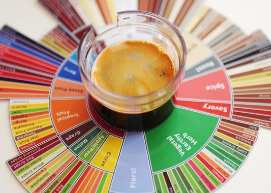 How To Describe Coffee Flavor: A Step-by-Step Guide