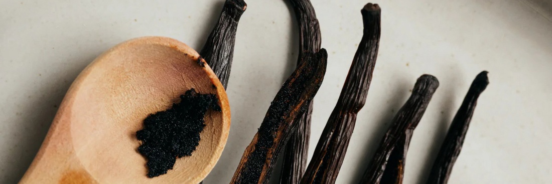 How Vanilla Powder is Made