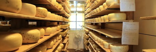 How to Identify Parmesan Cheese