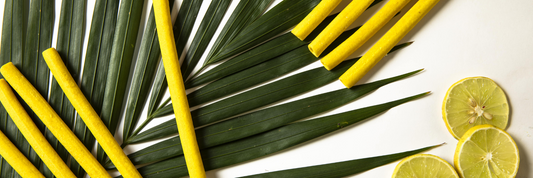 Is It Safe to Eat Edible Straws? Everything You Need to Know