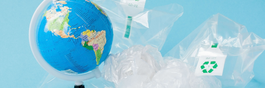 Plastic Bag Bans: A Turning Point for Businesses in the Sustainable Packaging Market