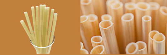 Rice Straw and Wheat Straw: The Future of Eco-Friendly, Compostable Packaging