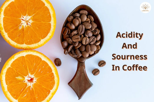 What is Coffee Acidity? Factors Affecting Coffee Acidity
