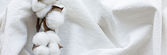 What is Organic Cotton? Benefits, Certifications, and Why It Matters for a Sustainable Future