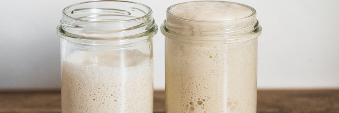 Can You Freeze Sourdough Starter