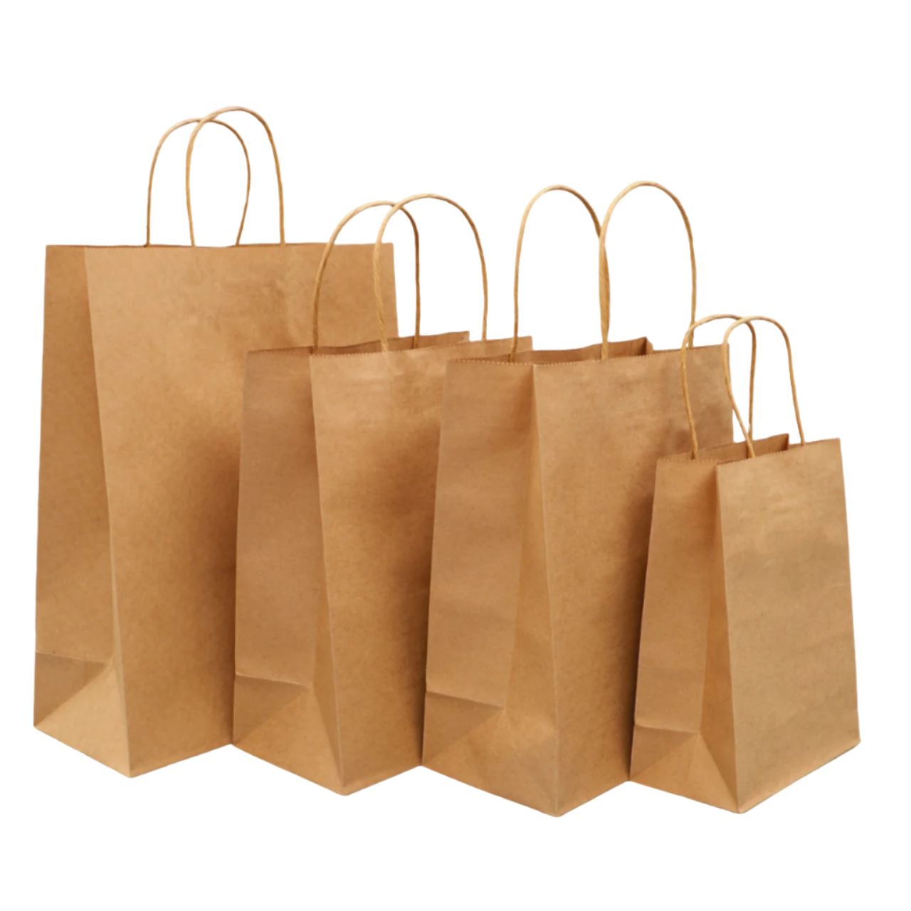 Kraft Paper Bags Twisted Handles | Shopping Bag | CASE OF 250