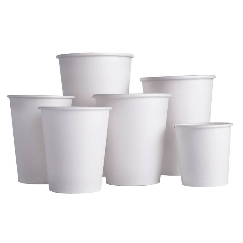 White Single Wall White Paper Cup | 16 Oz | For Hot Beverages | 1000 PCS/CASE