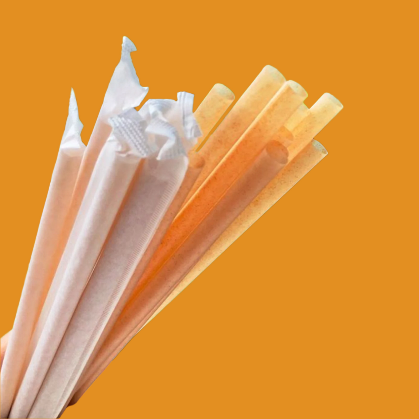 Individually Wrapped Biodegradable Sugarcane Straw | 12mm | Wholesale Canada