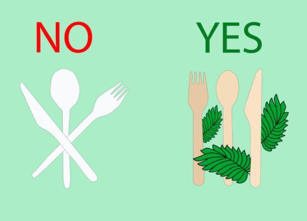 Wooden SPORKs | 2-in-1 Design | Spoons & Forks | 160mm - KimEcopak