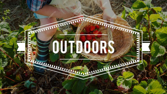 12 Brand Designs Ideas for Food Business
