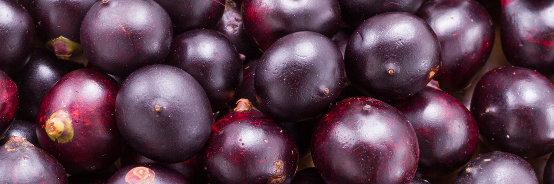 Acai Powder: Benefits, Uses & What Science Really Says