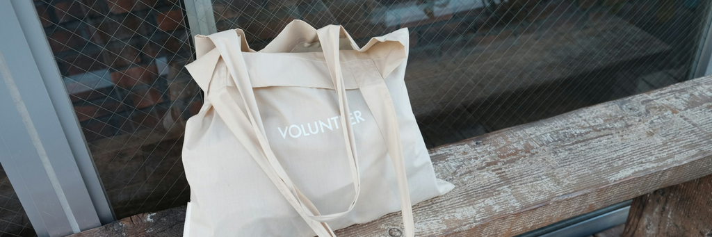 Are Non Woven Bags Eco Friendly? A Deep Dive for Sustainable Businesses