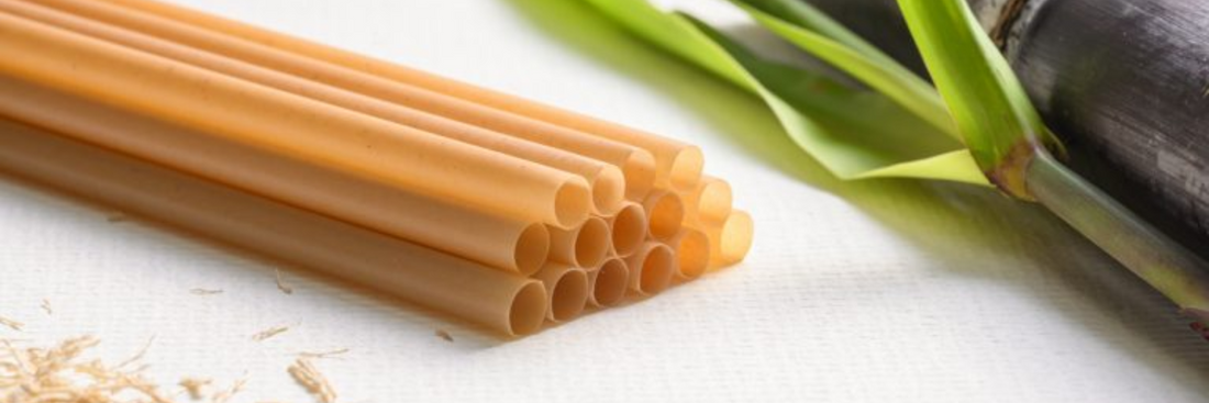 Are Sugarcane Straws Safe? Everything You Need to Know