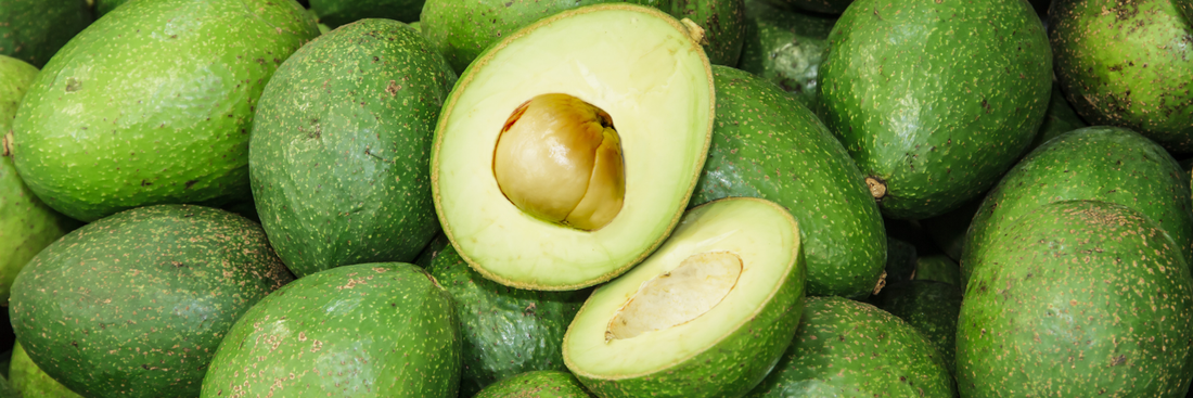 Avocado Powder: Benefits, Nutrition, Uses & Complete Guide