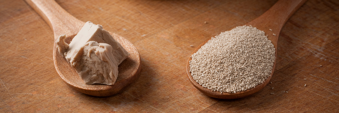 Baking Yeast: The Complete Guide to Types, Uses, Storage & Baking Techniques