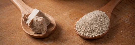 Baking Yeast: The Complete Guide to Types, Uses, Storage & Baking Techniques