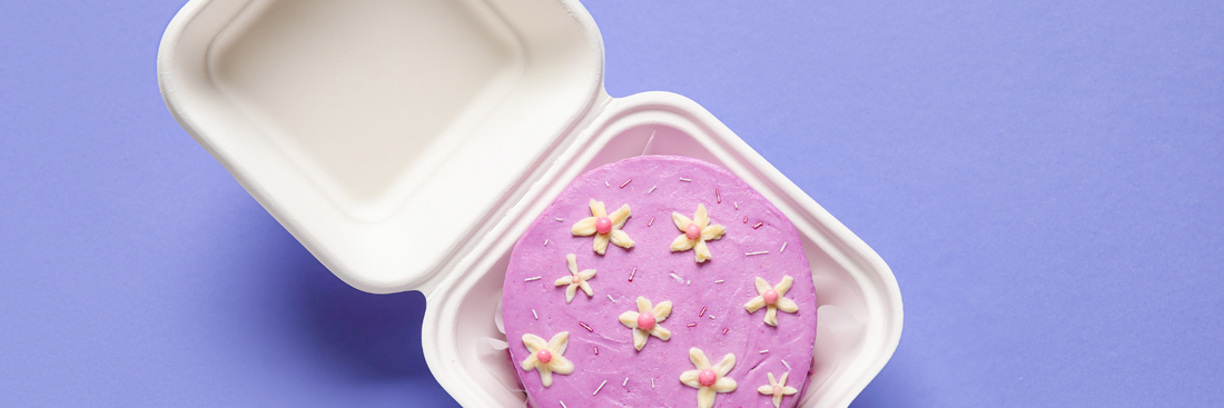 Bento Cake Box Size: Mini Cake Packaging Guide