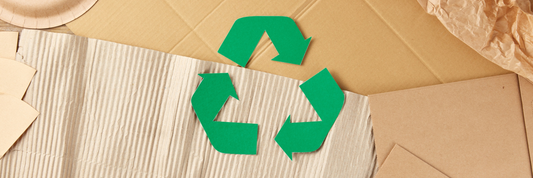 Top 10 Biodegradable Packaging Materials You Should Know