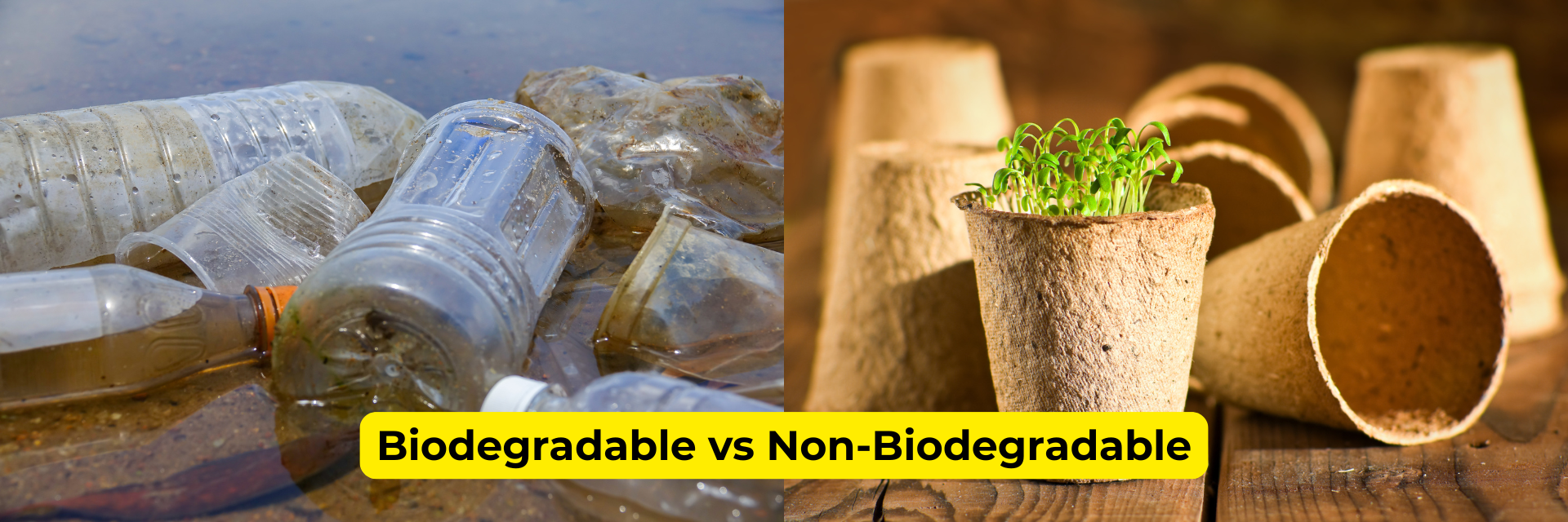 Biodegradable vs Non‑Biodegradable: Explanation & Smart Packaging Choi ...