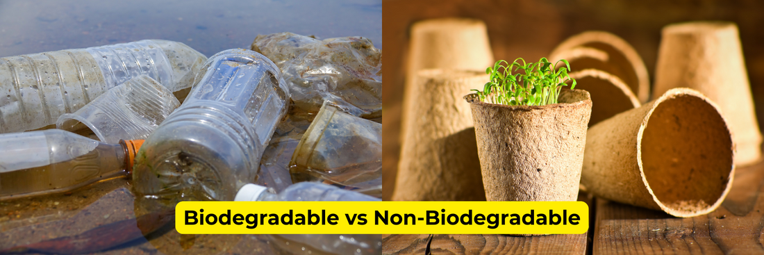Biodegradable vs Non‑Biodegradable: Explanation & Smart Packaging Choices for Businesses