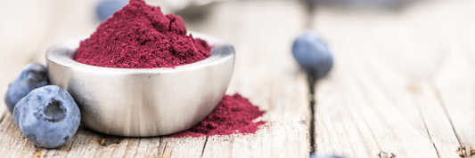 Blueberry Powder: Benefits, Uses, Nutrition, and How to Choose the Best