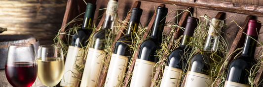 Bottle Carriers: The Ultimate Guide to Types, Materials, and Eco-Friendly Packaging Solutions