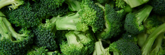 Broccoli Powder: Benefits, Nutrition & Best Uses (2025 Guide)