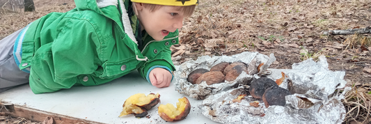 21 Easy Camping Foil Packet Meals for the Perfect Outdoor Feast