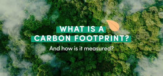The Carbon Footprint of Packaging: Methods, Comparisons, and Implications for the Food Sector