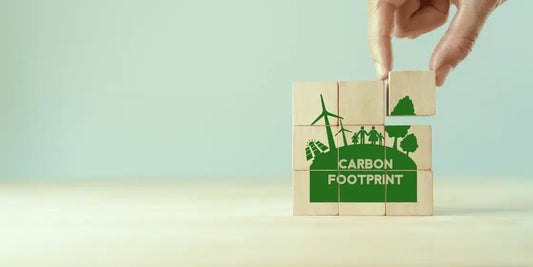 Understanding the Carbon Footprint of Packaging – Sustainable Solutions for the Food Industry