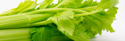 Celery Powder: Complete Guide to Nutrition, Benefits, Uses & More