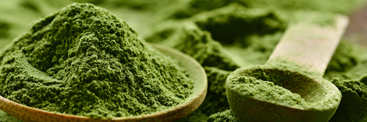 Chlorella Powder: Benefits, Dosage, Safety & How to Choose Quality