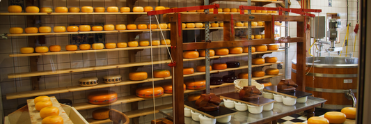 Commercial Kitchen Cost – A Startup Guide for New F&B Entrepreneurs