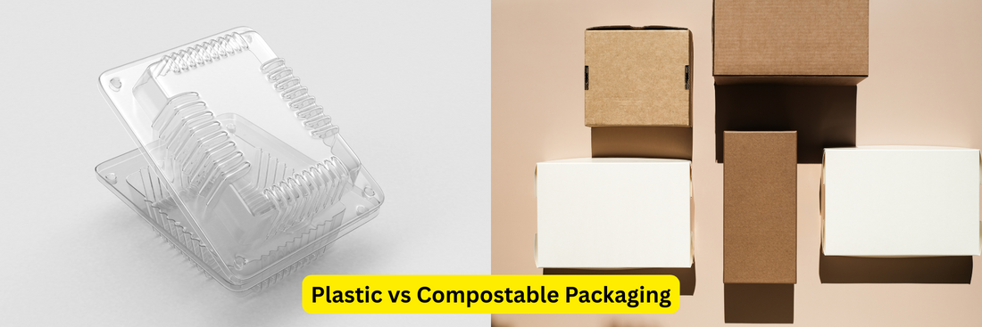 Comparison Between Plastic and Compostable Packaging