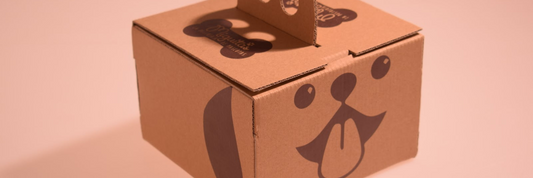 DIY Cake Box Guide: How to Make Creative & Eco-Friendly Cake Packaging