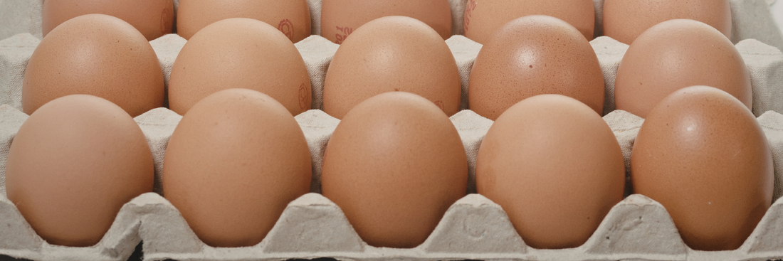 Egg Packaging: Types, Materials, Regulations, and Sustainable Solutions