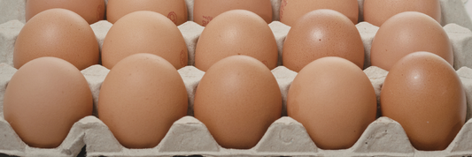 Egg Packaging: Types, Materials, Regulations, and Sustainable Solutions