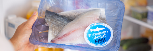 Fish Packaging: The Complete Guide to Materials, Methods, and Sustainable Solutions