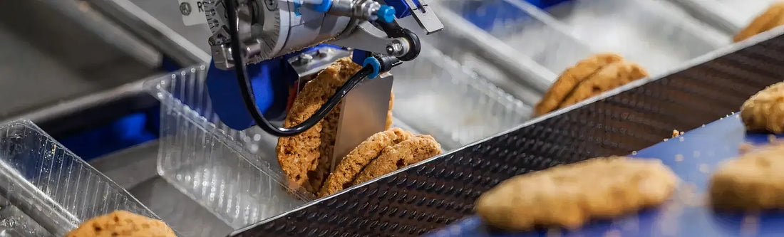 Food Packaging for Cracker: Best Materials to Keep Them Fresh and Crispy