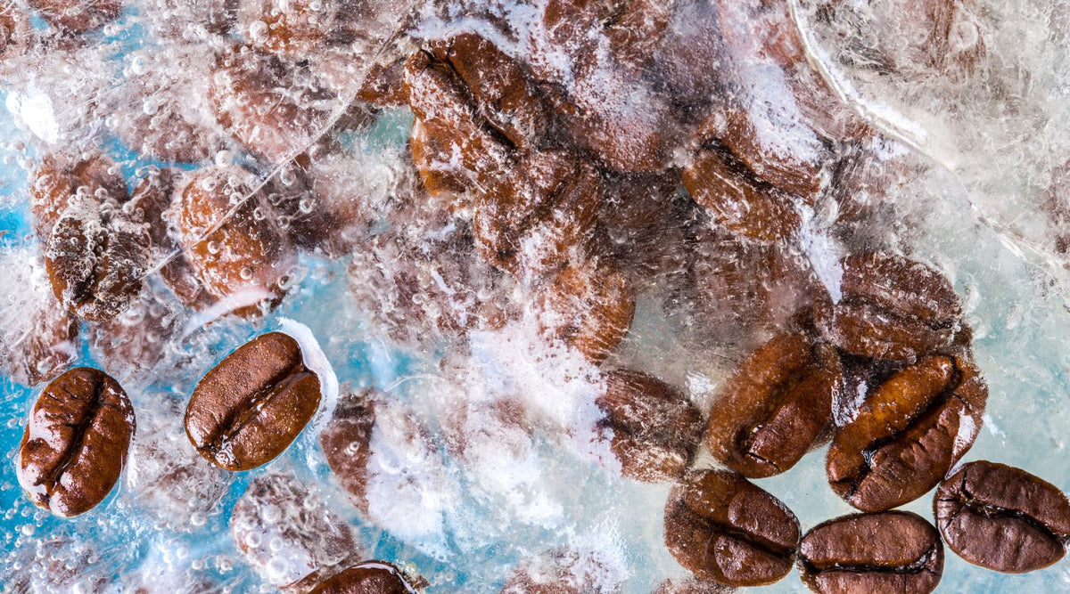 Can You Freeze Coffee? How Long Can You Freeze Coffee? – KimEcopak