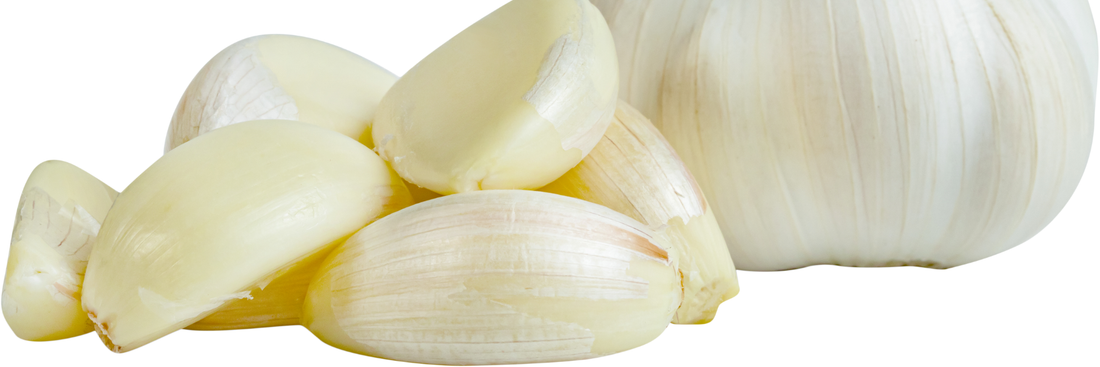 Garlic Oil: Benefits, Uses, Safety, and How to Make Garlic Oil at Home