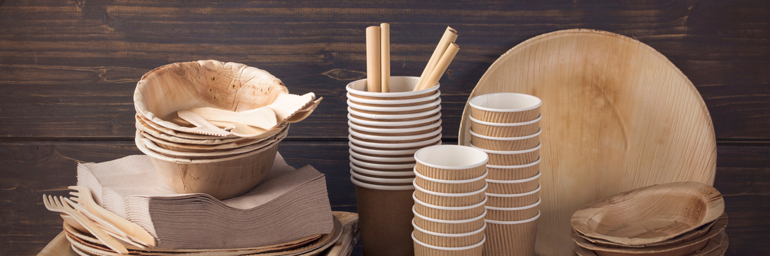 Going Green: How Eco-friendly Bowls Helps Your Ramen Business?