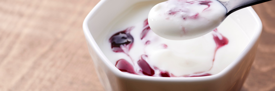 The Ultimate Healthy Greek Yogurt Cheesecake: High Protein, Creamy & Guilt-Free