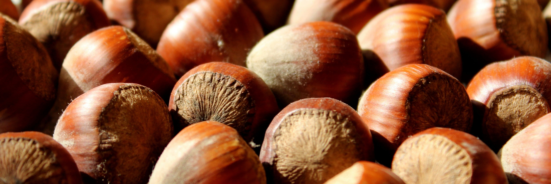 Hazelnut Flour: The Nutty, Gluten-Free Flour That Elevates Your Baking